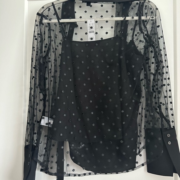 J.crew sheer button up - Picture 4 of 5